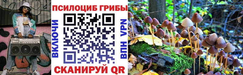 Псилоцибиновые грибы MAGIC MUSHROOMS Шумиха